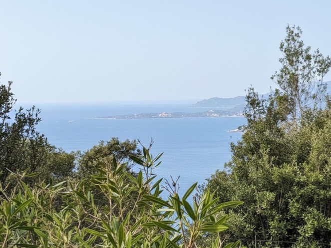 Achat immobilier Maison 7 pièces  160m2 à Viggianello (20110) - Photo n°22