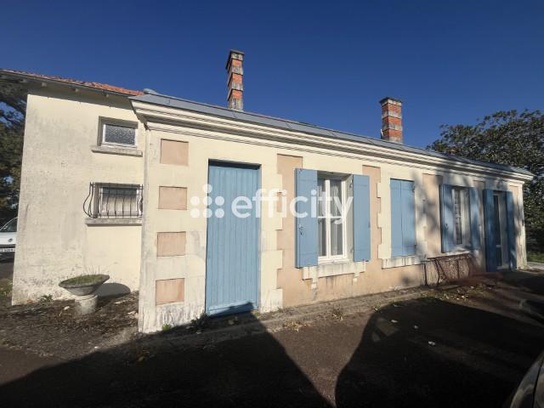 Achat immobilier Maison 6 pièces  165m2 à Les Mathes (17570) - Photo n°4