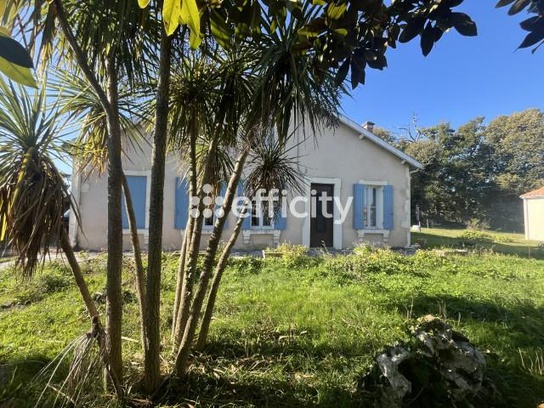 Achat immobilier Maison 6 pièces  165m2 à Les Mathes (17570) - Photo n°17