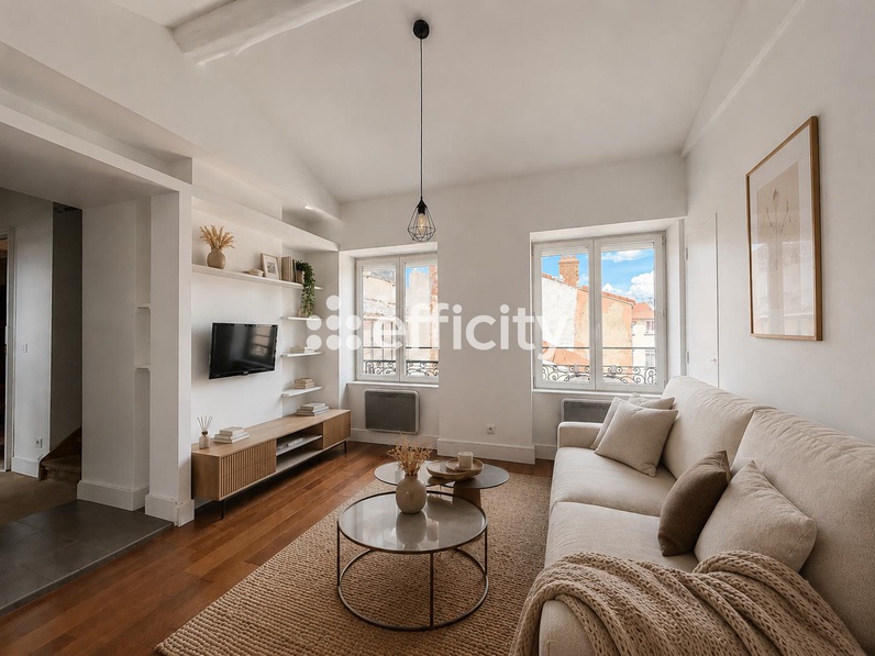 appartement 2 pièces - 53,0m2 à Lyon (69006)