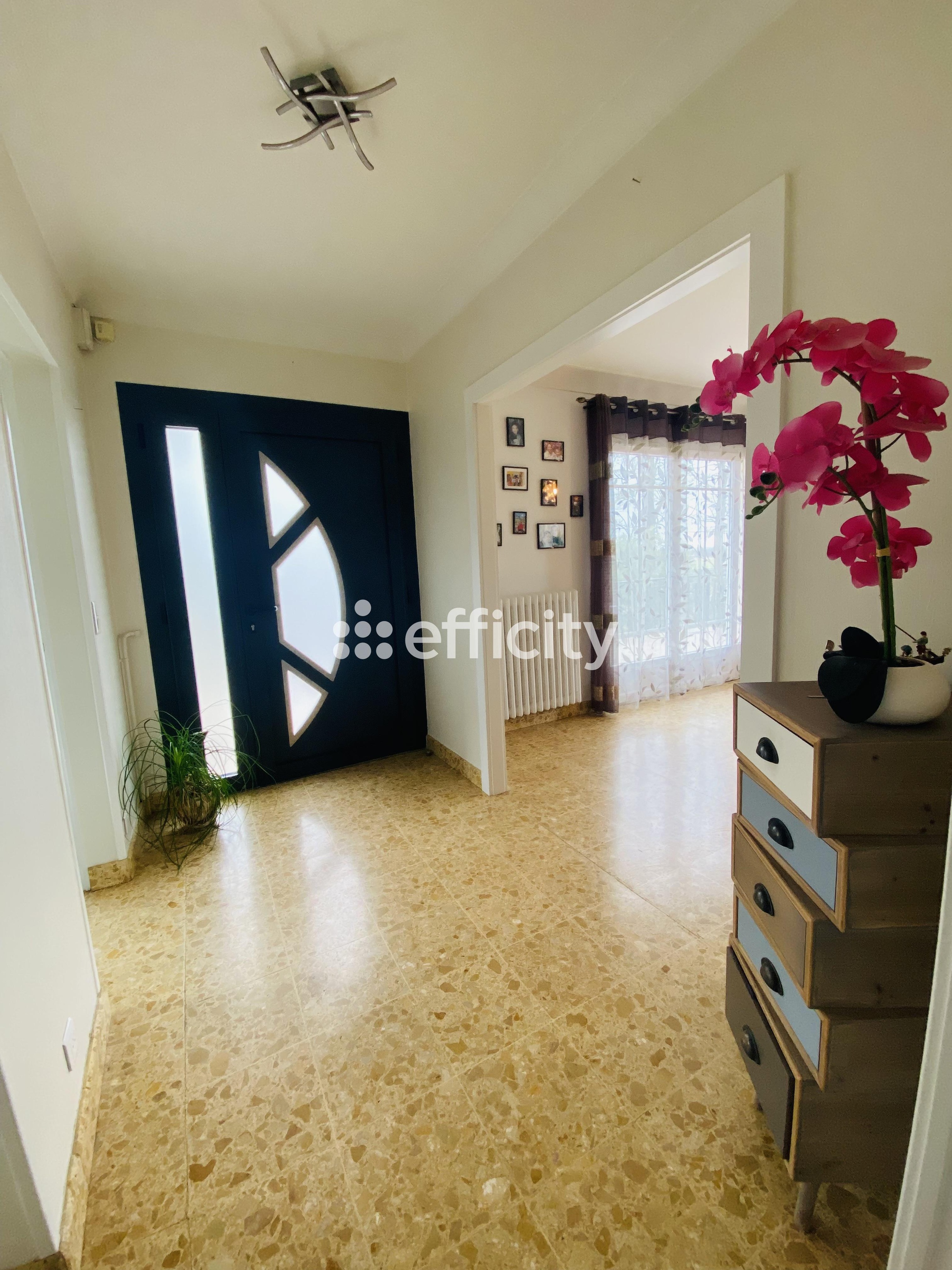 Achat immobilier Maison 6 pièces  167m2 à Saint-Maurice-sur-Adour (40270) - Photo n°4