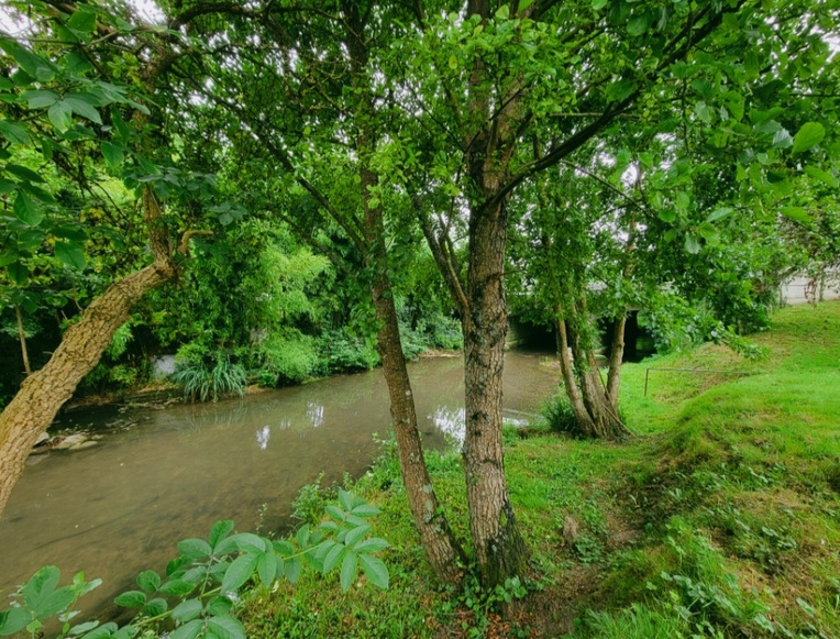 Achat immobilier Maison 10 pièces  195m2 à Neuillé-Pont-Pierre (37360) - Photo n°12