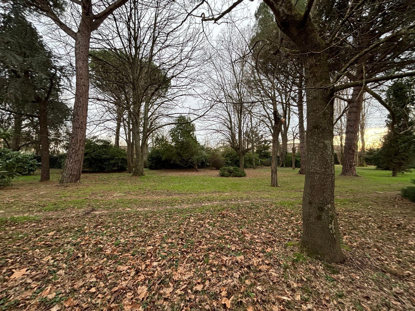 Achat immobilier Maison 7 pièces  268m2 à Balma (31130) - Photo n°8