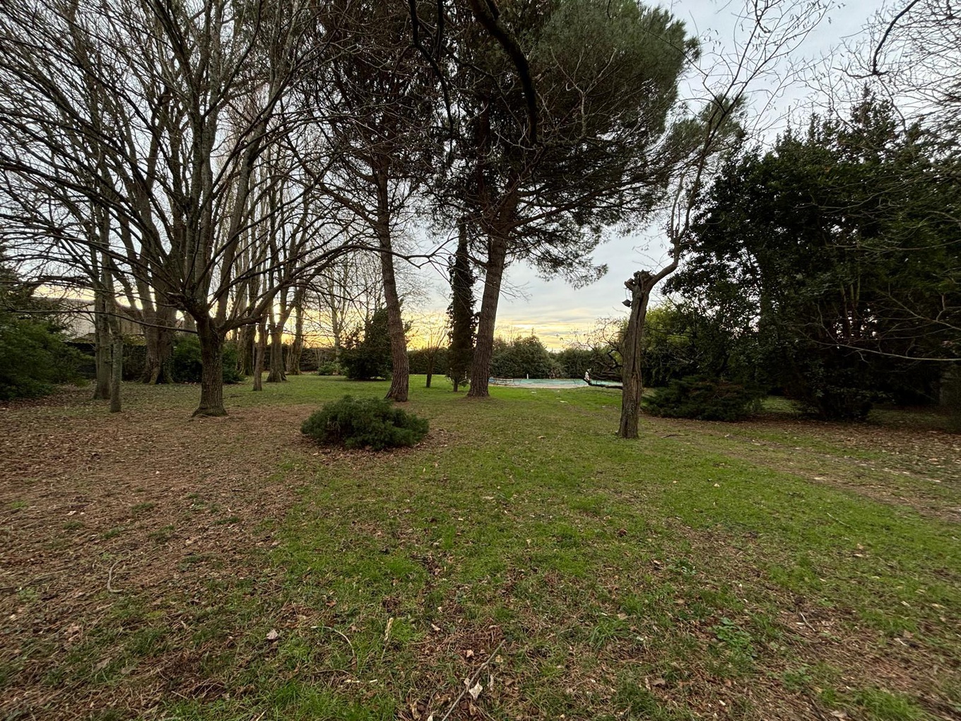 Achat immobilier Maison 7 pièces  268m2 à Balma (31130) - Photo n°6