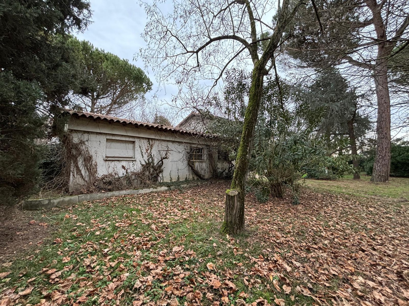 Achat immobilier Maison 7 pièces  268m2 à Balma (31130) - Photo n°9
