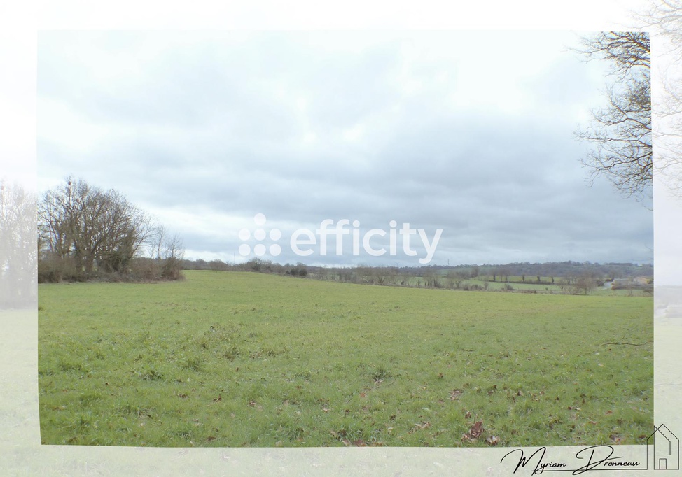 terrain  - 10000m2 à Mauléon (79700)