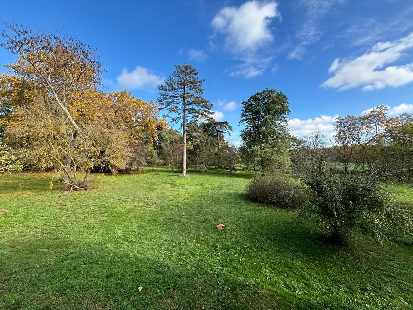 Achat immobilier Appartement 6 pièces  223m2 à Aussonne (31840) - Photo n°7