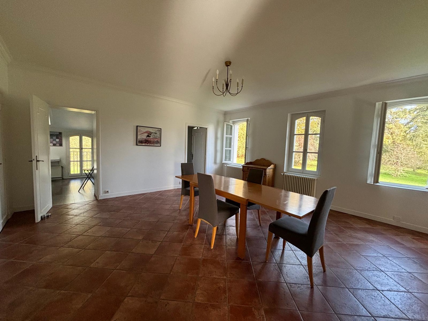 Achat immobilier Appartement 6 pièces  223m2 à Aussonne (31840) - Photo n°4