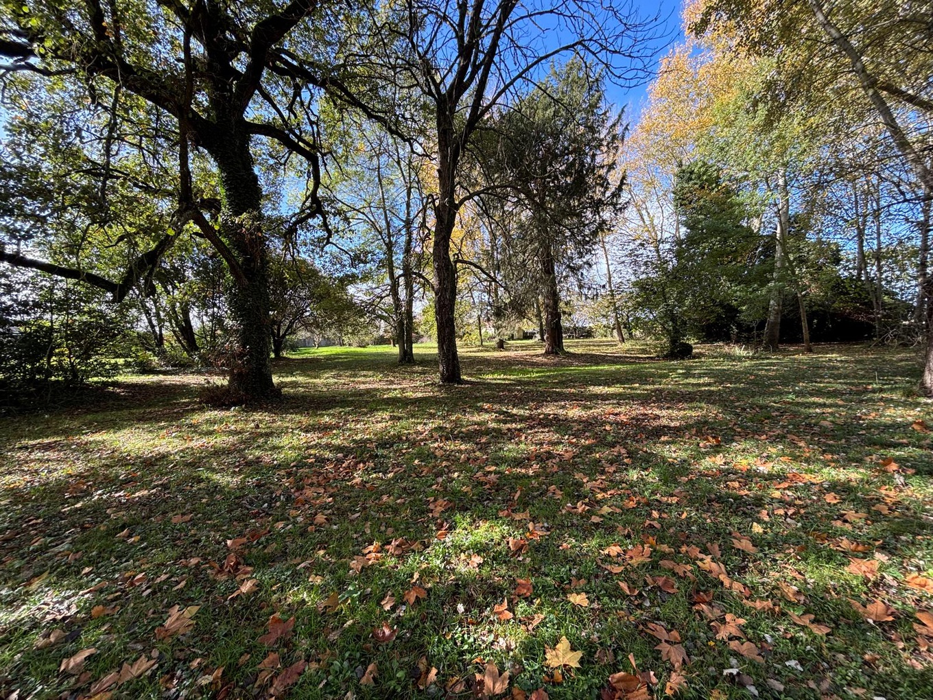 Achat immobilier Appartement 6 pièces  223m2 à Aussonne (31840) - Photo n°13