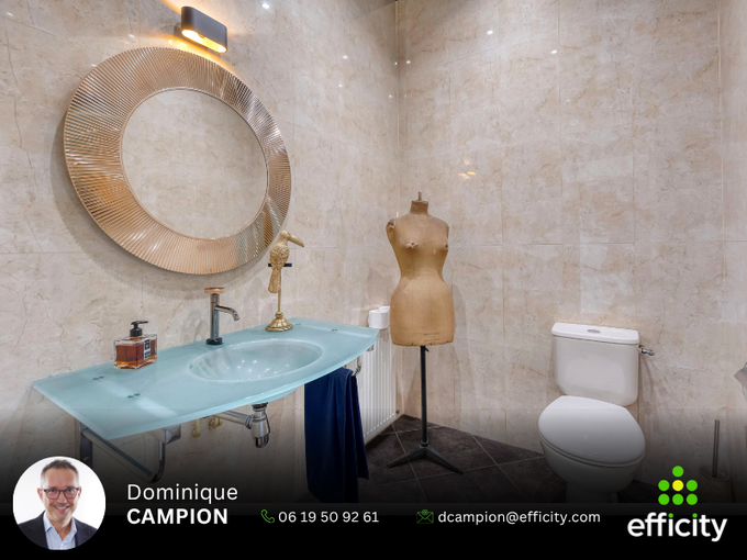 Achat immobilier Appartement 6 pièces  338m2 à Saint-Martin-d'Hères (38400) - Photo n°22