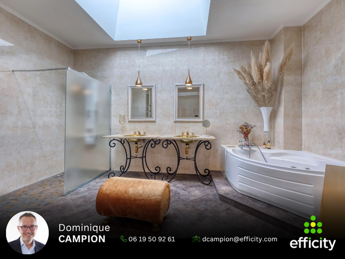Achat immobilier Appartement 6 pièces  338m2 à Saint-Martin-d'Hères (38400) - Photo n°15