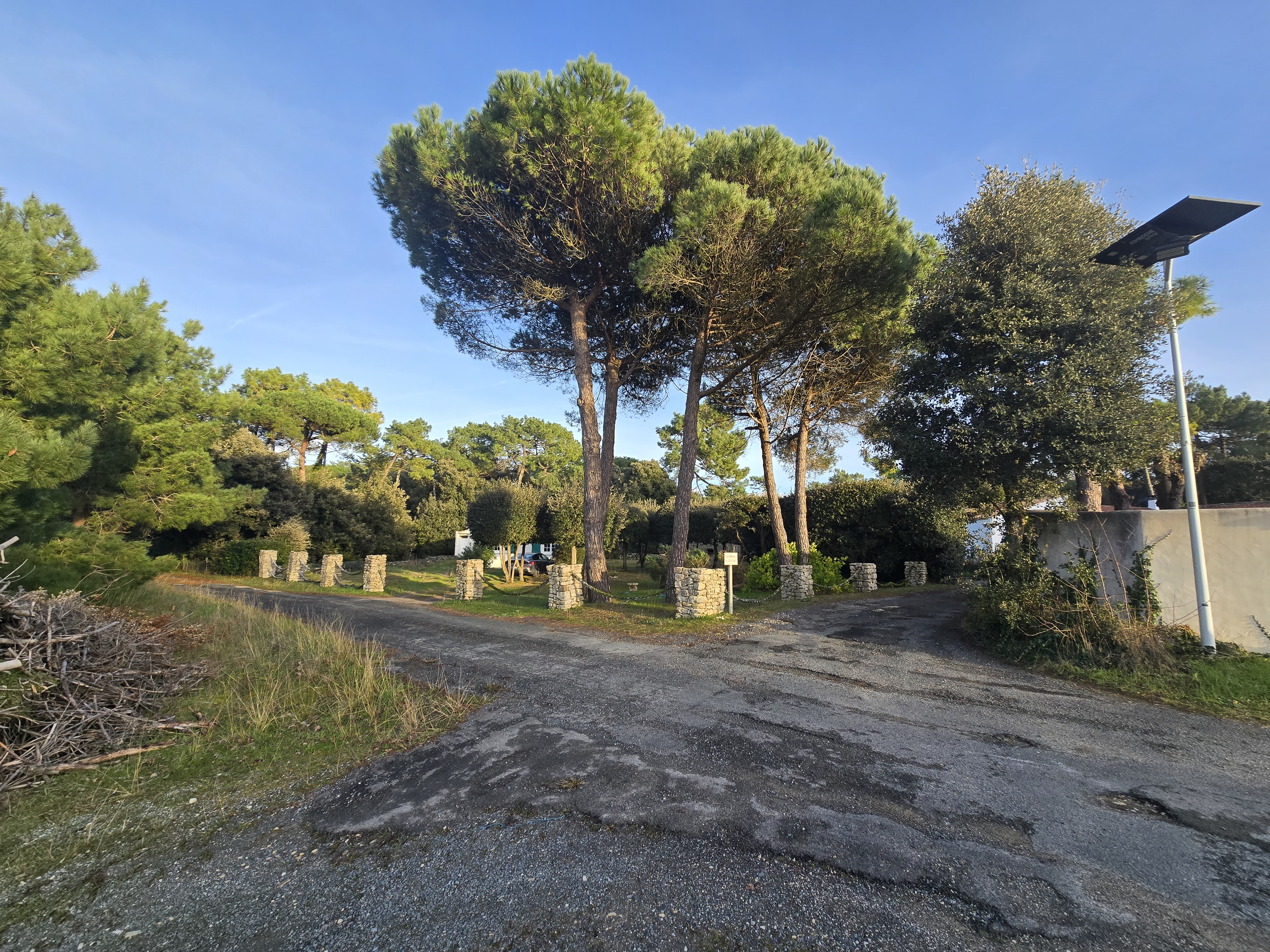 Achat immobilier Maison 6 pièces  130m2 à Sainte-Marie-de-Ré (17740) - Photo n°21