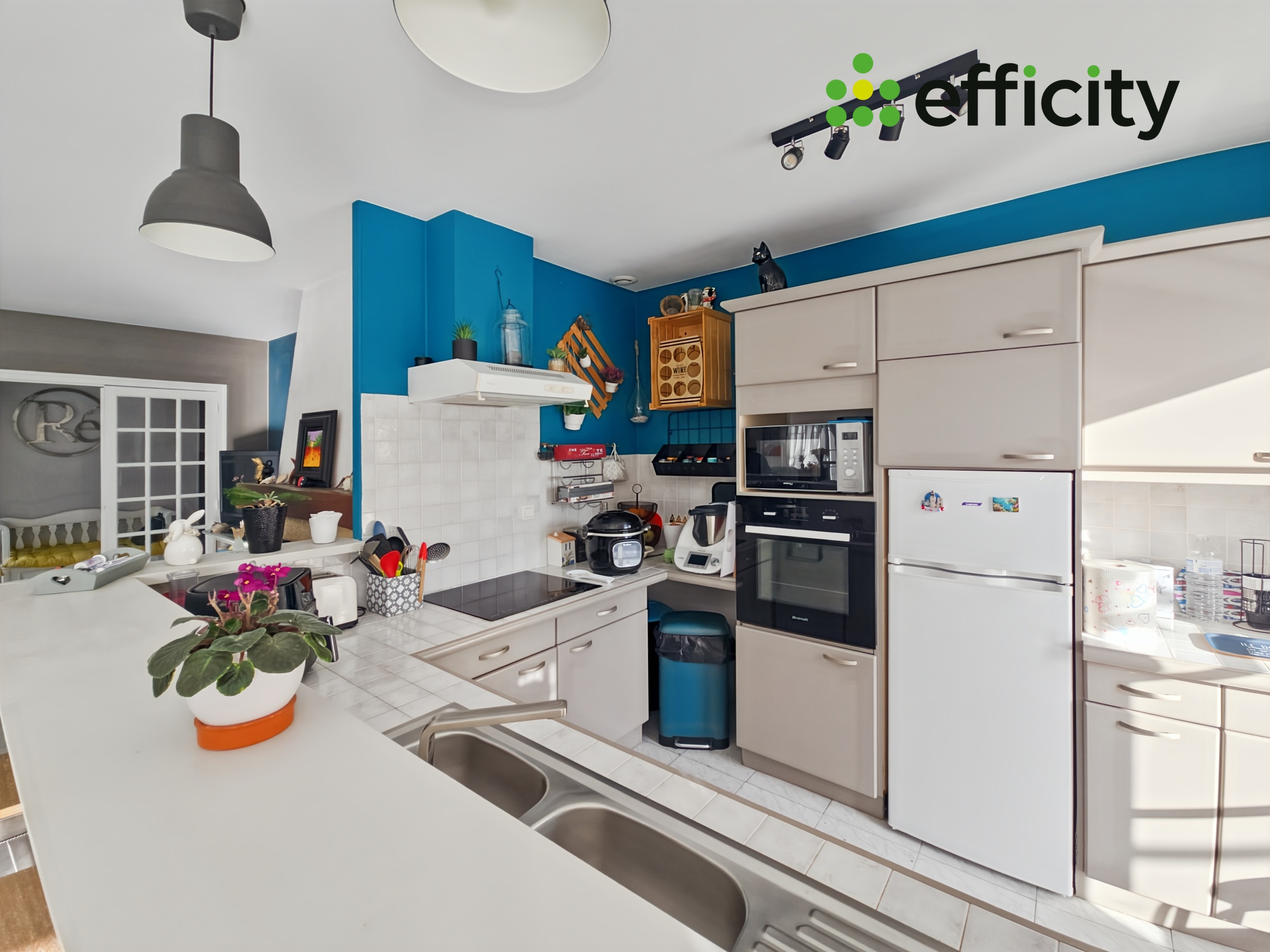 Achat immobilier Maison 6 pièces  130m2 à Sainte-Marie-de-Ré (17740) - Photo n°10