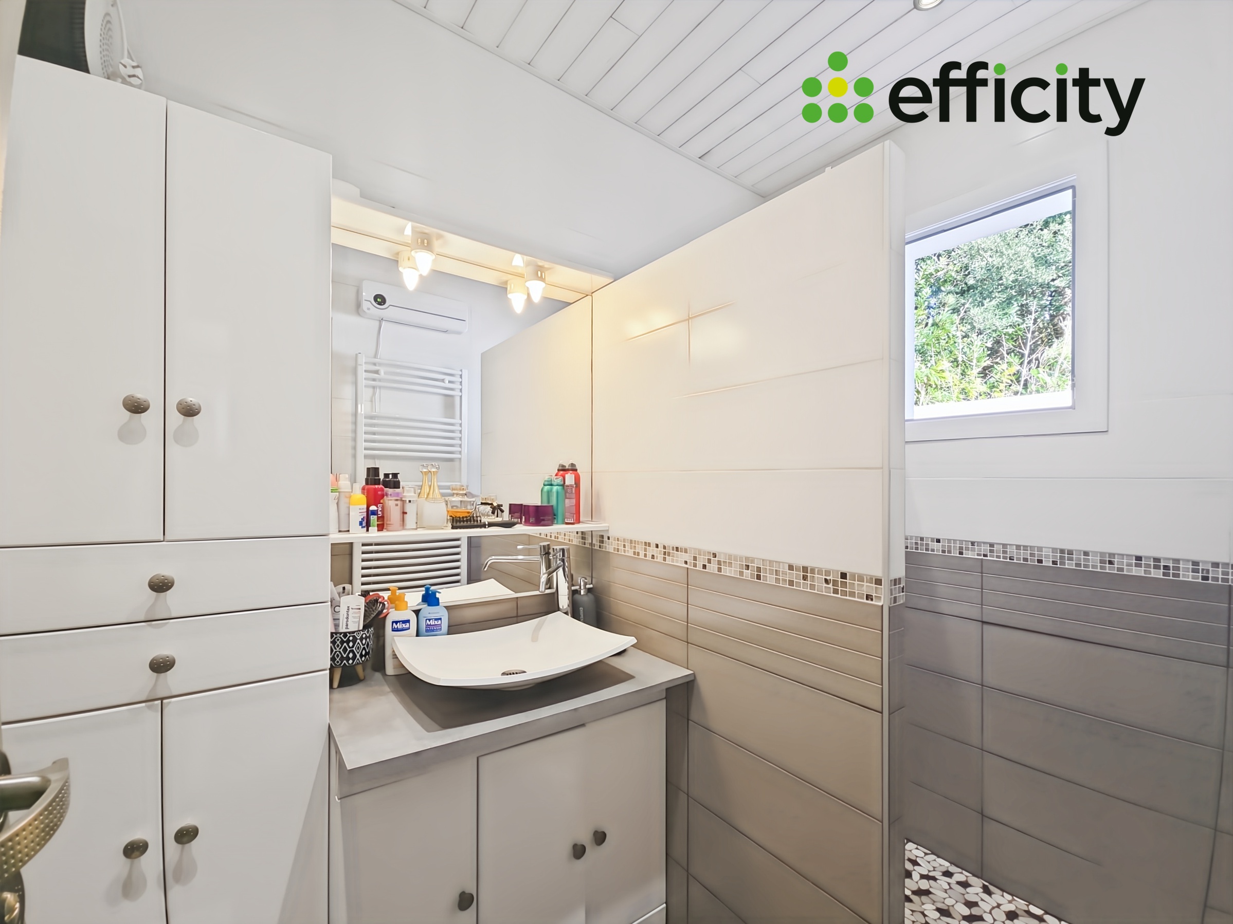 Achat immobilier Maison 6 pièces  130m2 à Sainte-Marie-de-Ré (17740) - Photo n°19