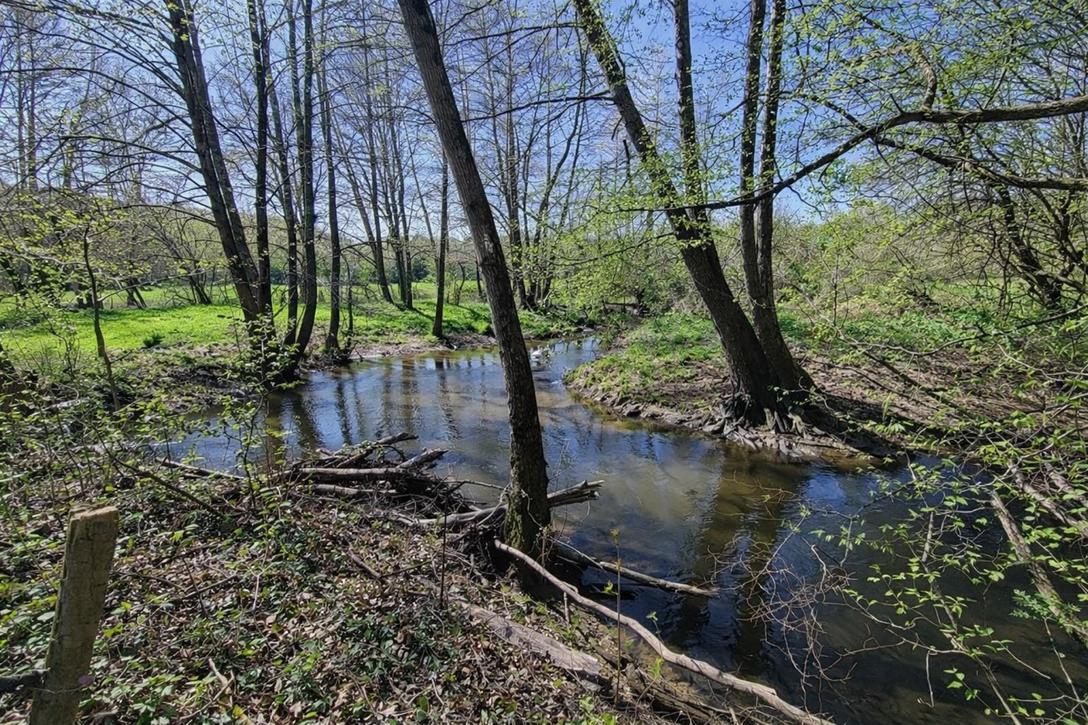 Achat immobilier Maison 6 pièces  234m2 à Chassignolles (36400) - Photo n°12