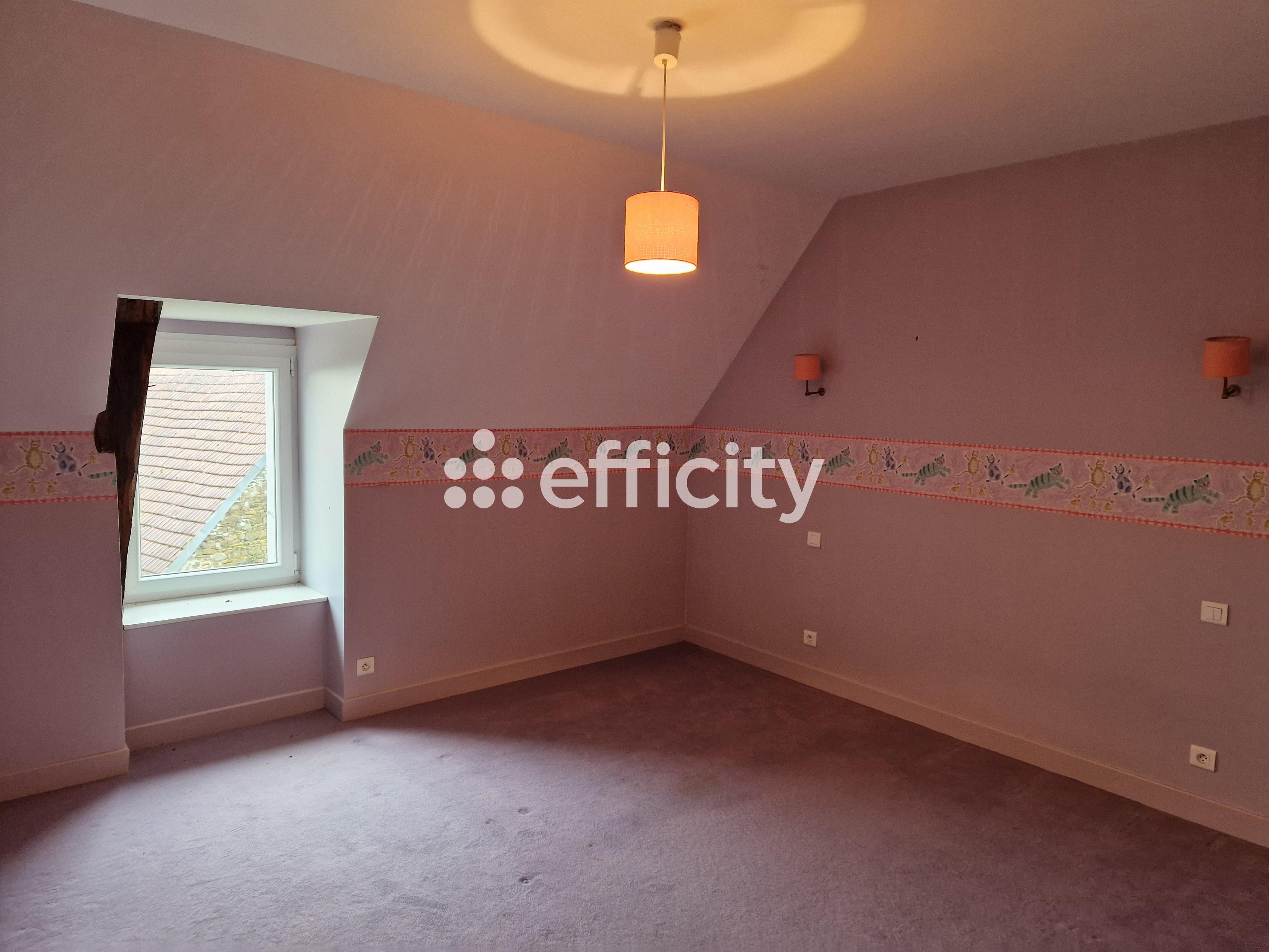 Achat immobilier Maison 6 pièces  167m2 à Sarroux - Saint Julien (19110) - Photo n°7