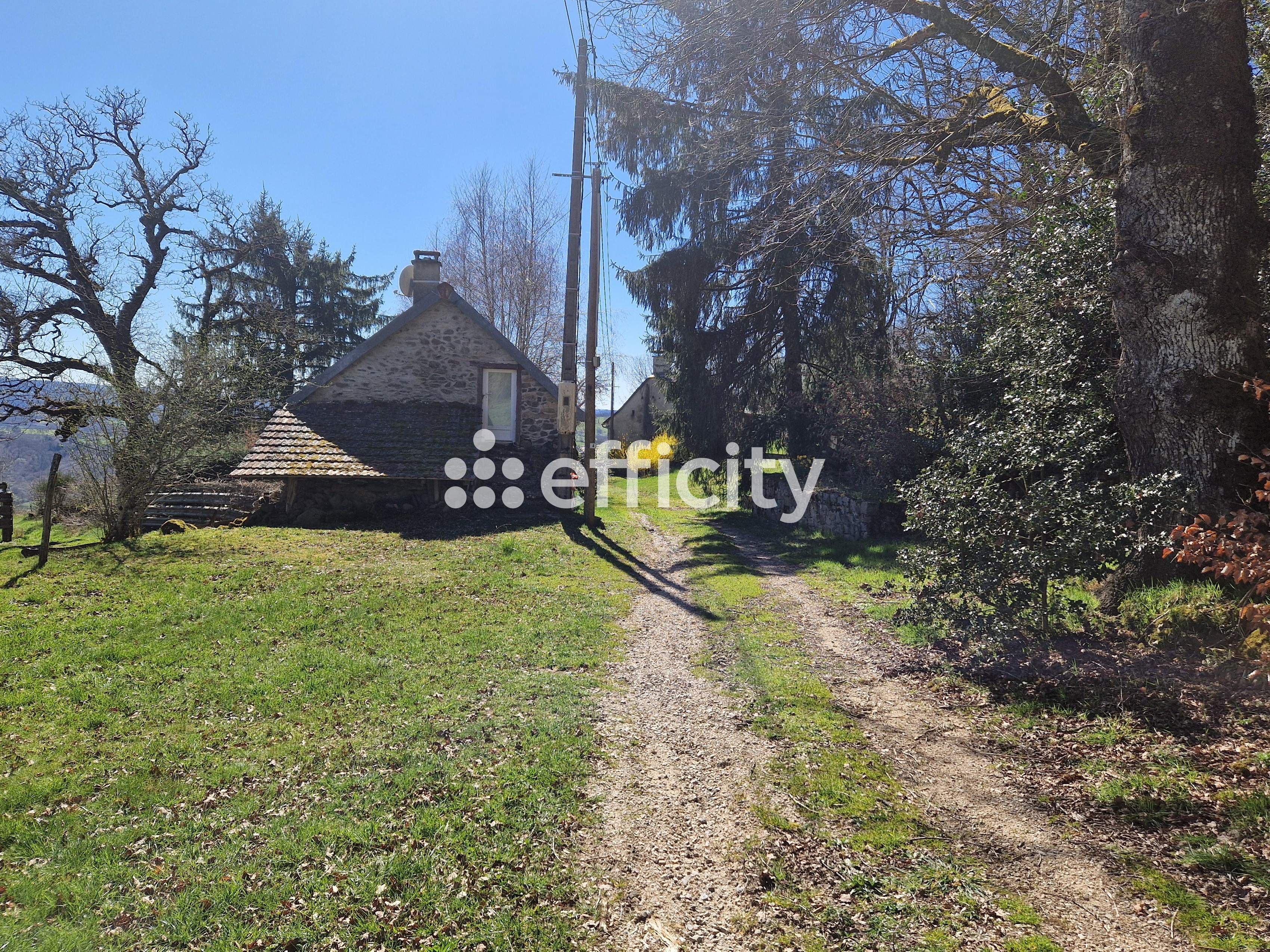 Achat immobilier Maison 6 pièces  167m2 à Sarroux - Saint Julien (19110) - Photo n°17