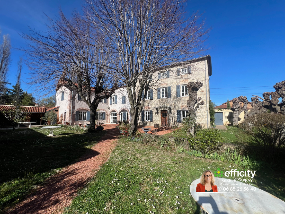 maison 12 pièces - 336m2 à Montbrison (42600)