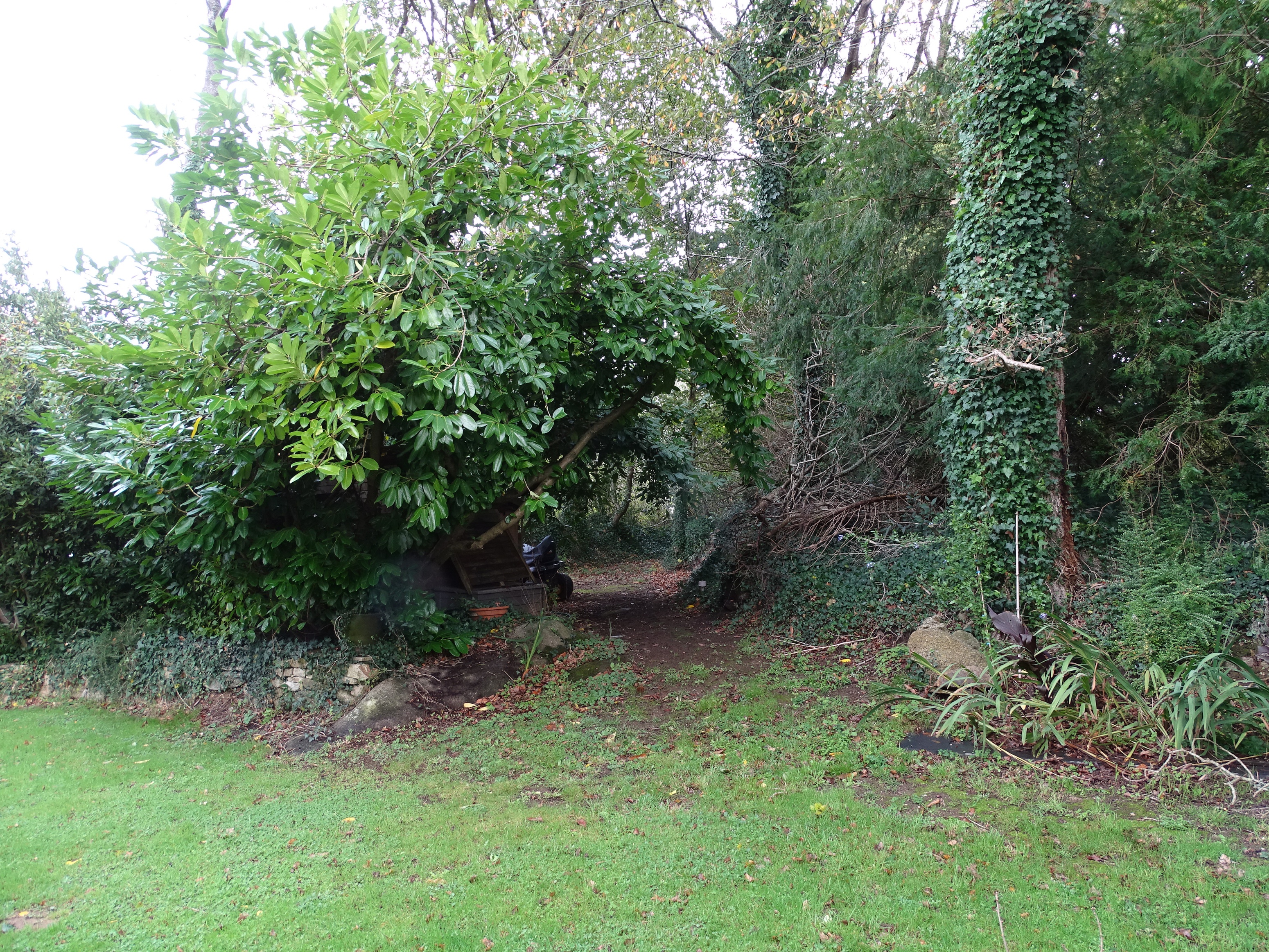 Achat immobilier Maison 8 pièces  165m2 à Pont-Aven (29930) - Photo n°14