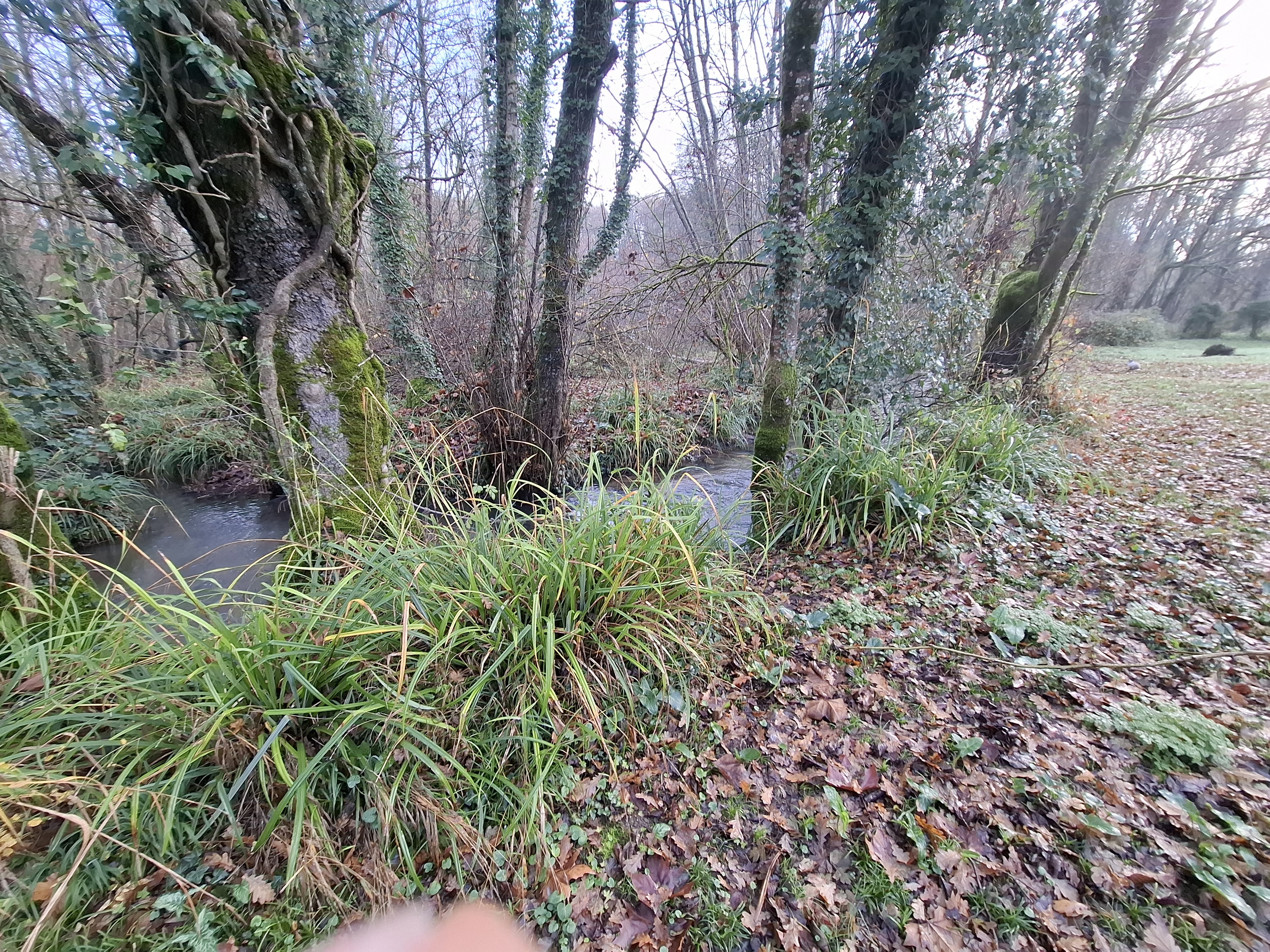 Achat immobilier Maison 4 pièces  140m2 à Chaniers (17610) - Photo n°14