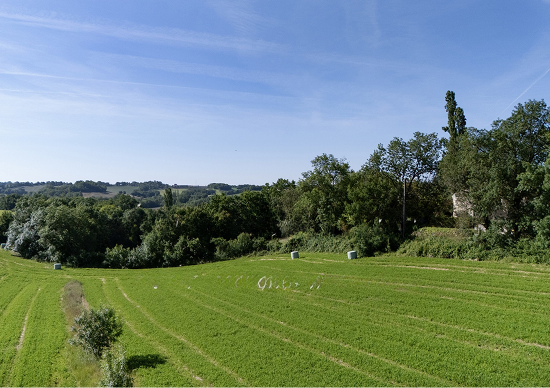 terrain  - 1371m2 à Mailhoc (81130)