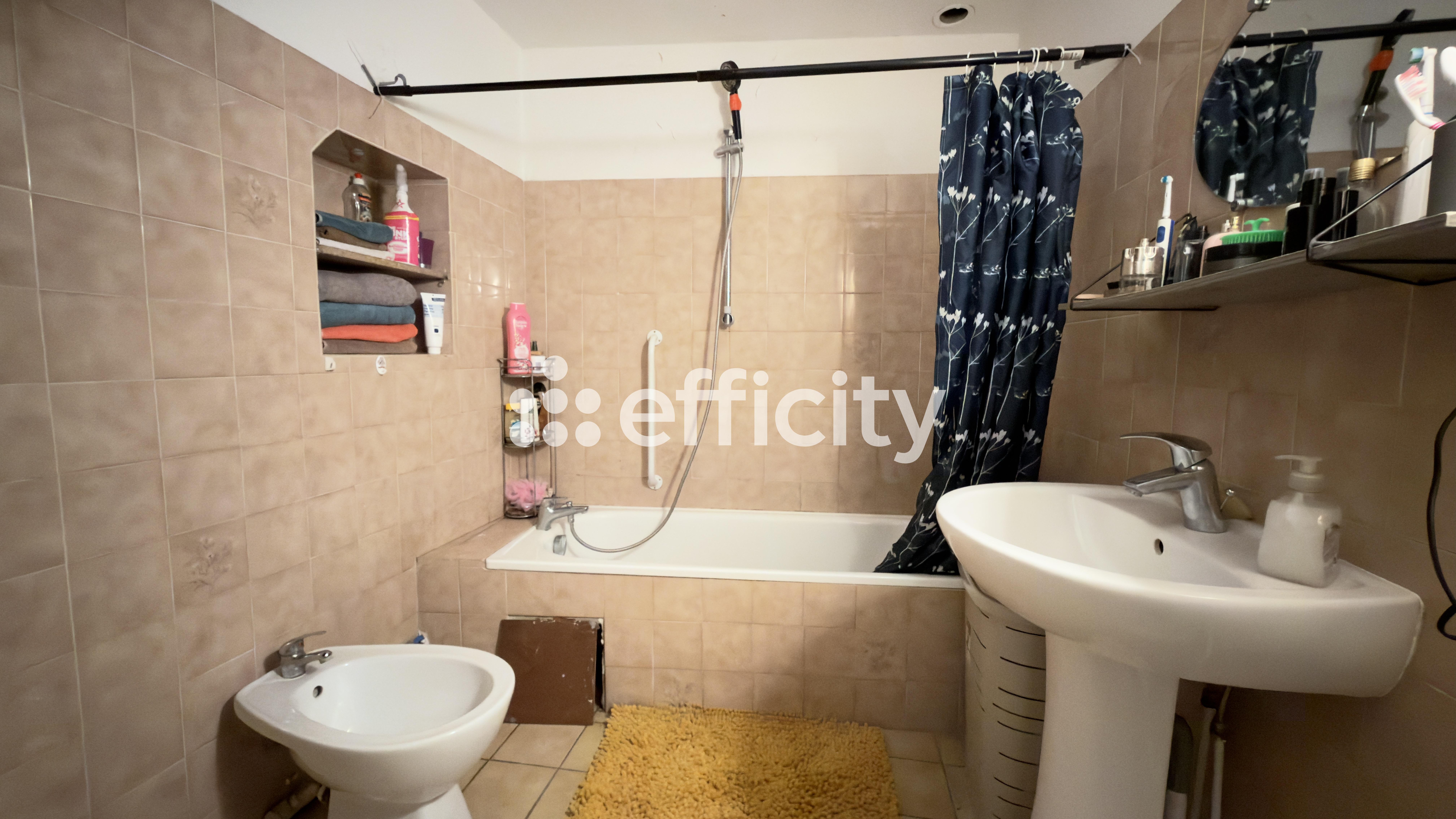 Achat immobilier Immeuble 4 pièces  190m2 à Le Péage-de-Roussillon (38550) - Photo n°6