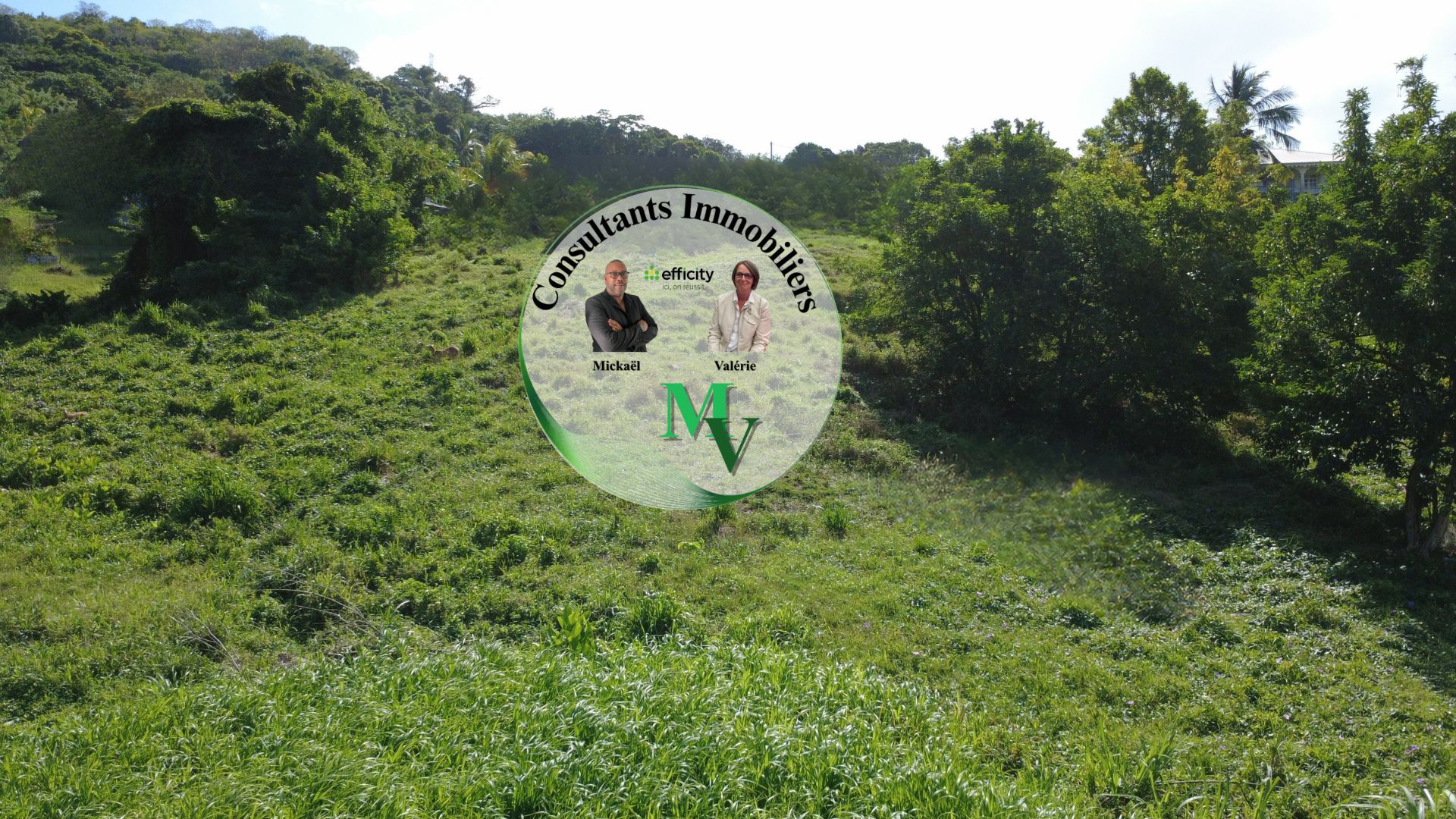 Terrain 1241 m² · à Le Vauclin · 1 241 m² · 145 000 €