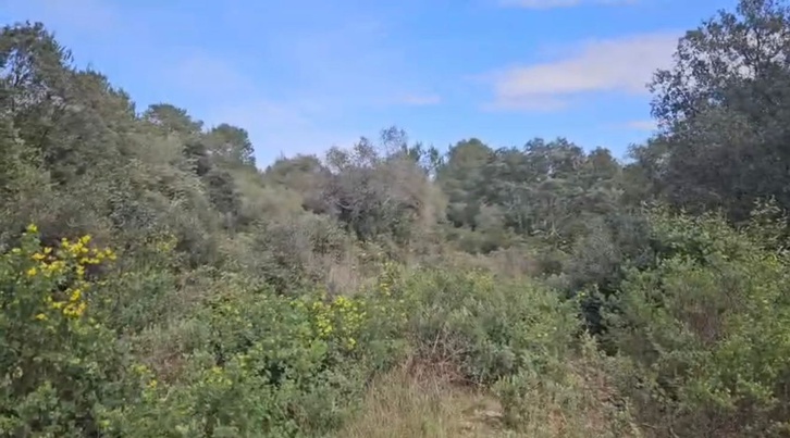 terrain  - 12000m2 à Nîmes (30900)