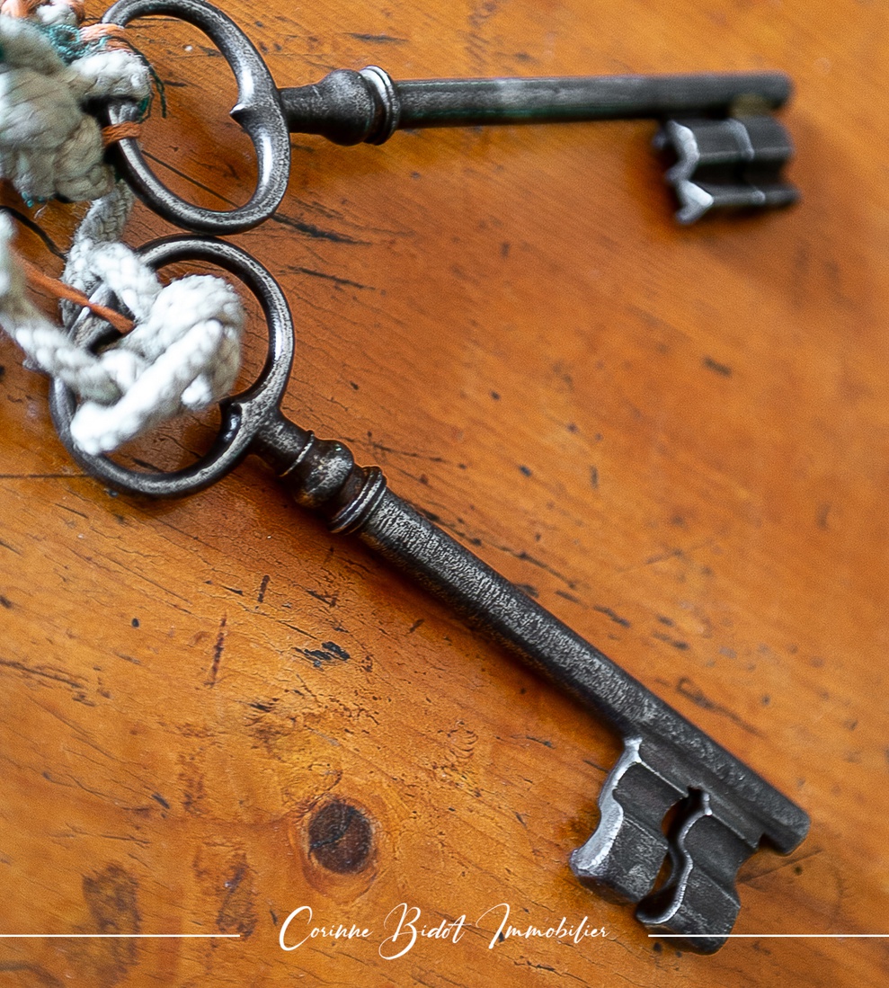 Achat immobilier Maison 18 pièces  465m2 à Savigneux (01480) - Photo n°20