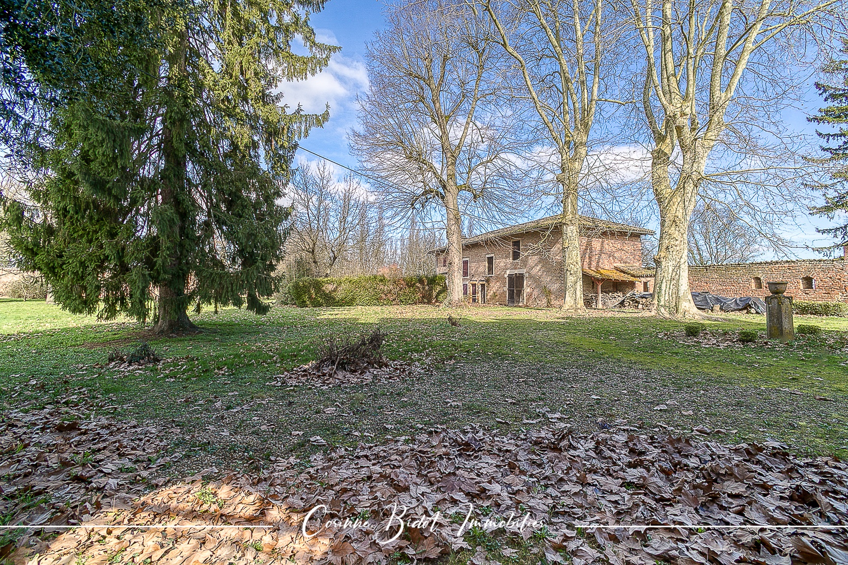 Achat immobilier Maison 18 pièces  465m2 à Savigneux (01480) - Photo n°7