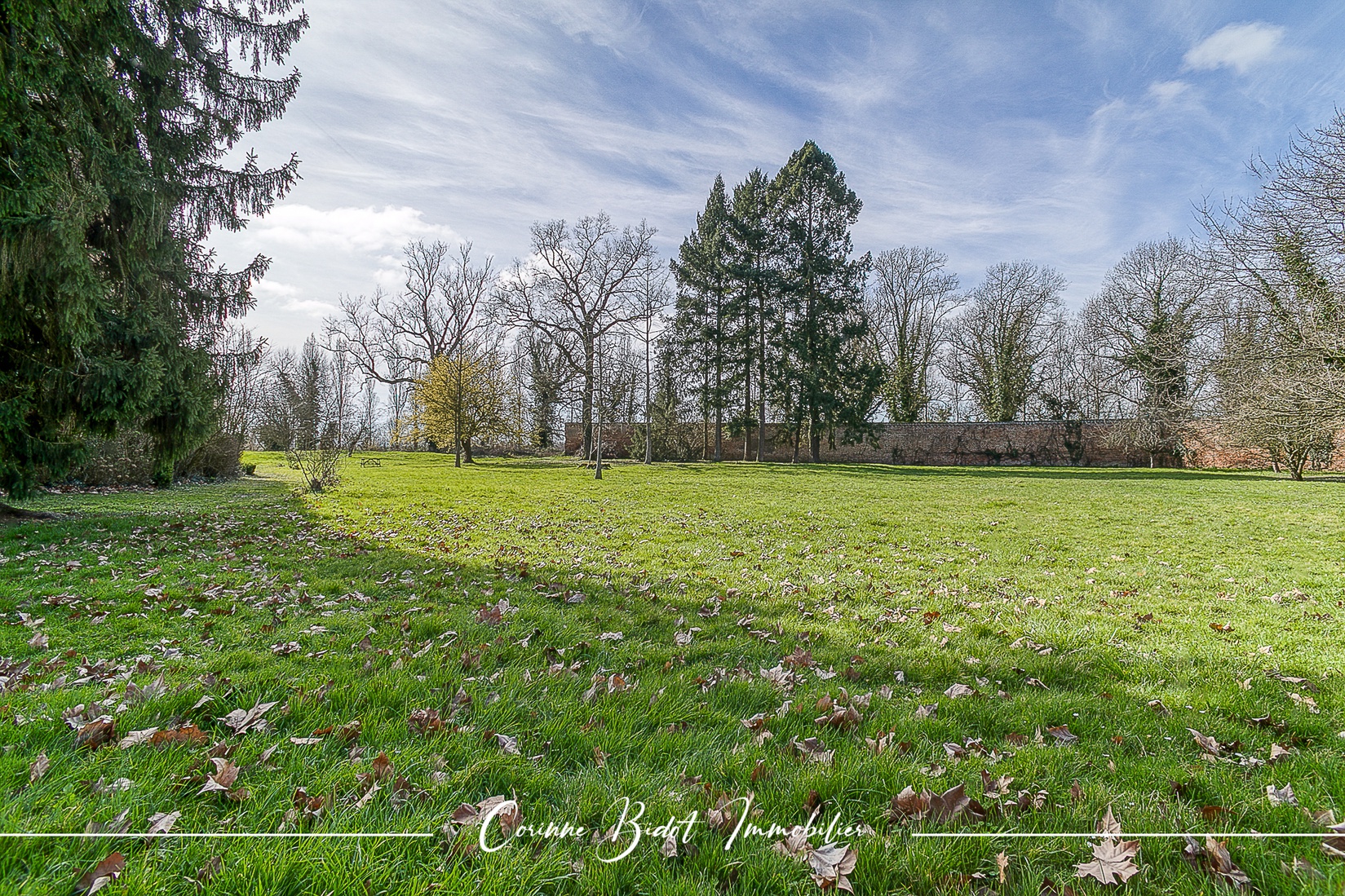 Achat immobilier Maison 18 pièces  465m2 à Savigneux (01480) - Photo n°9