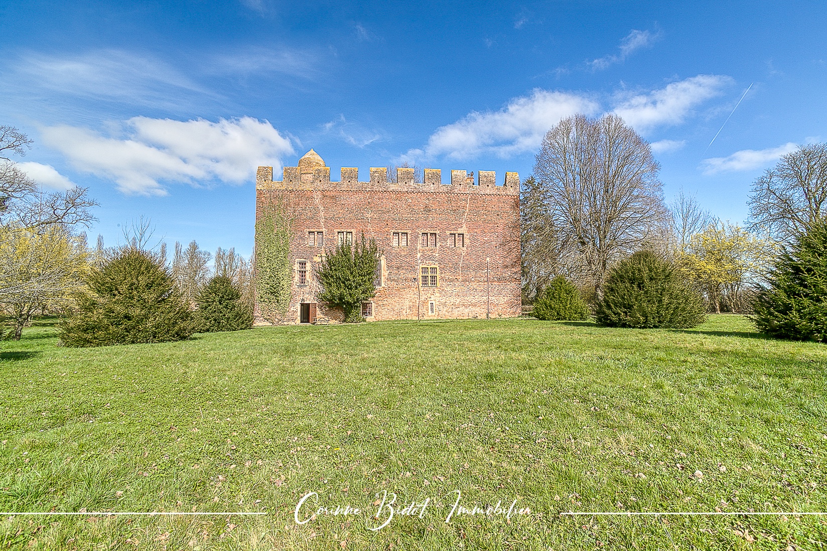 Achat immobilier Maison 18 pièces  465m2 à Savigneux (01480) - Photo n°1