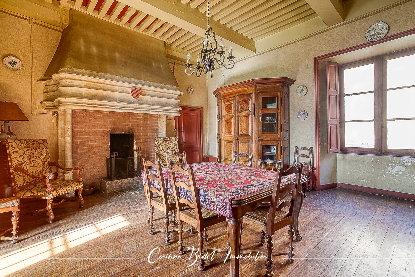 Achat immobilier Maison 18 pièces  465m2 à Savigneux (01480) - Photo n°10