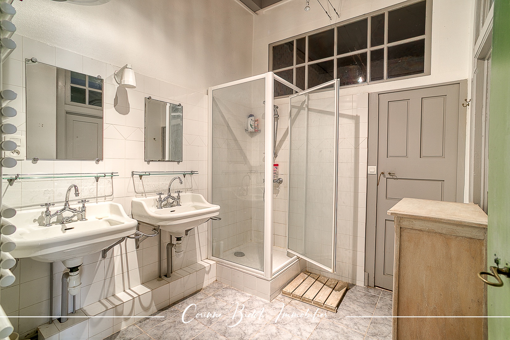 Achat immobilier Maison 18 pièces  465m2 à Savigneux (01480) - Photo n°14