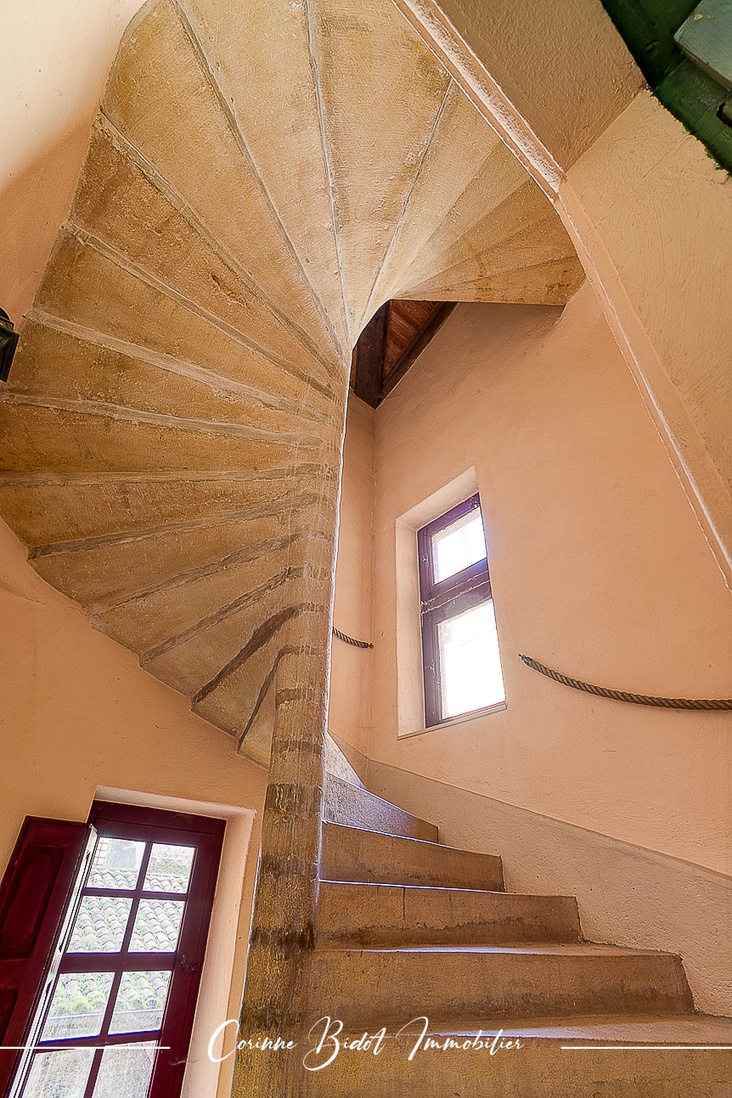 Achat immobilier Maison 18 pièces  465m2 à Savigneux (01480) - Photo n°15