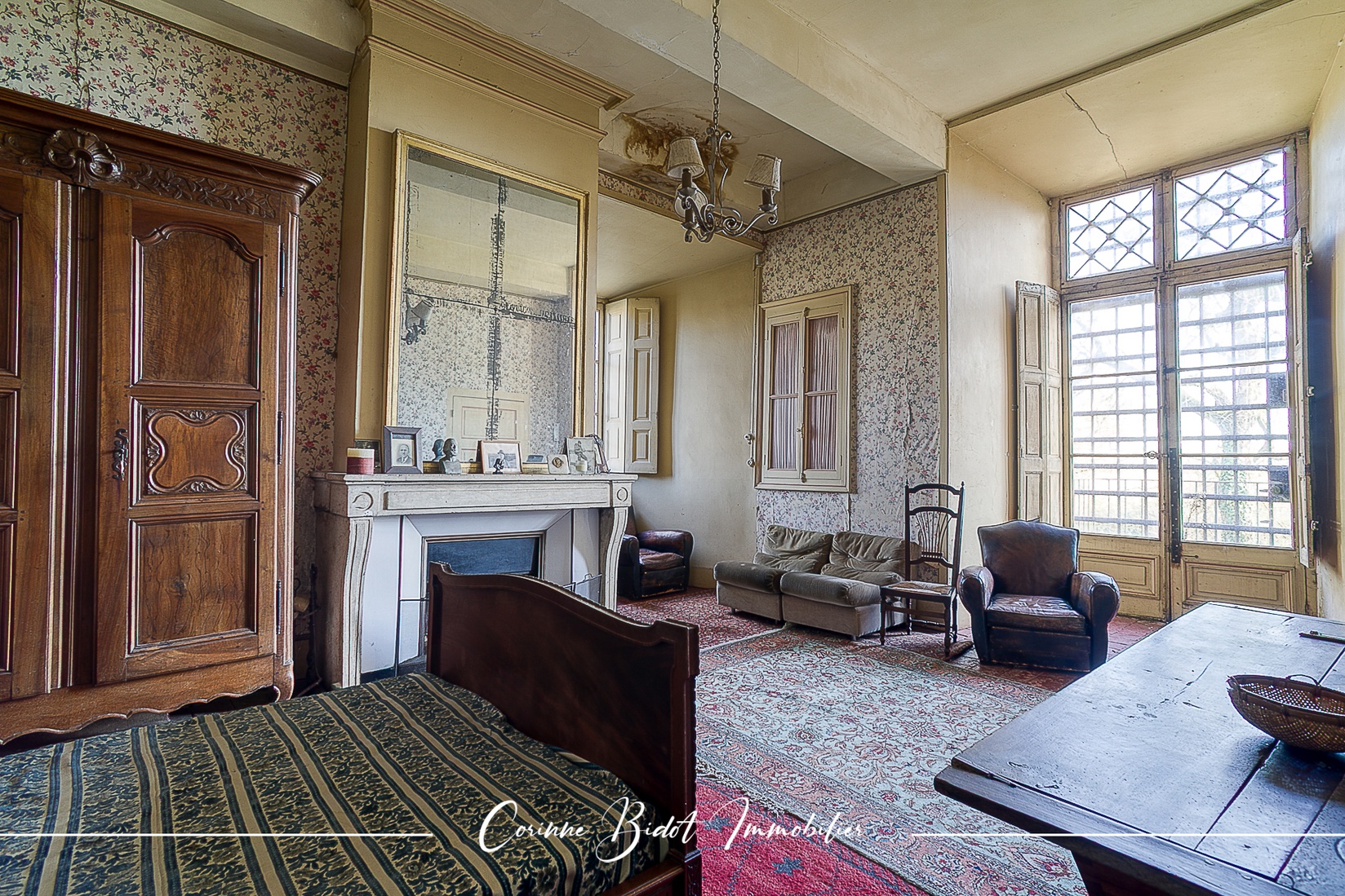 Achat immobilier Maison 18 pièces  465m2 à Savigneux (01480) - Photo n°16