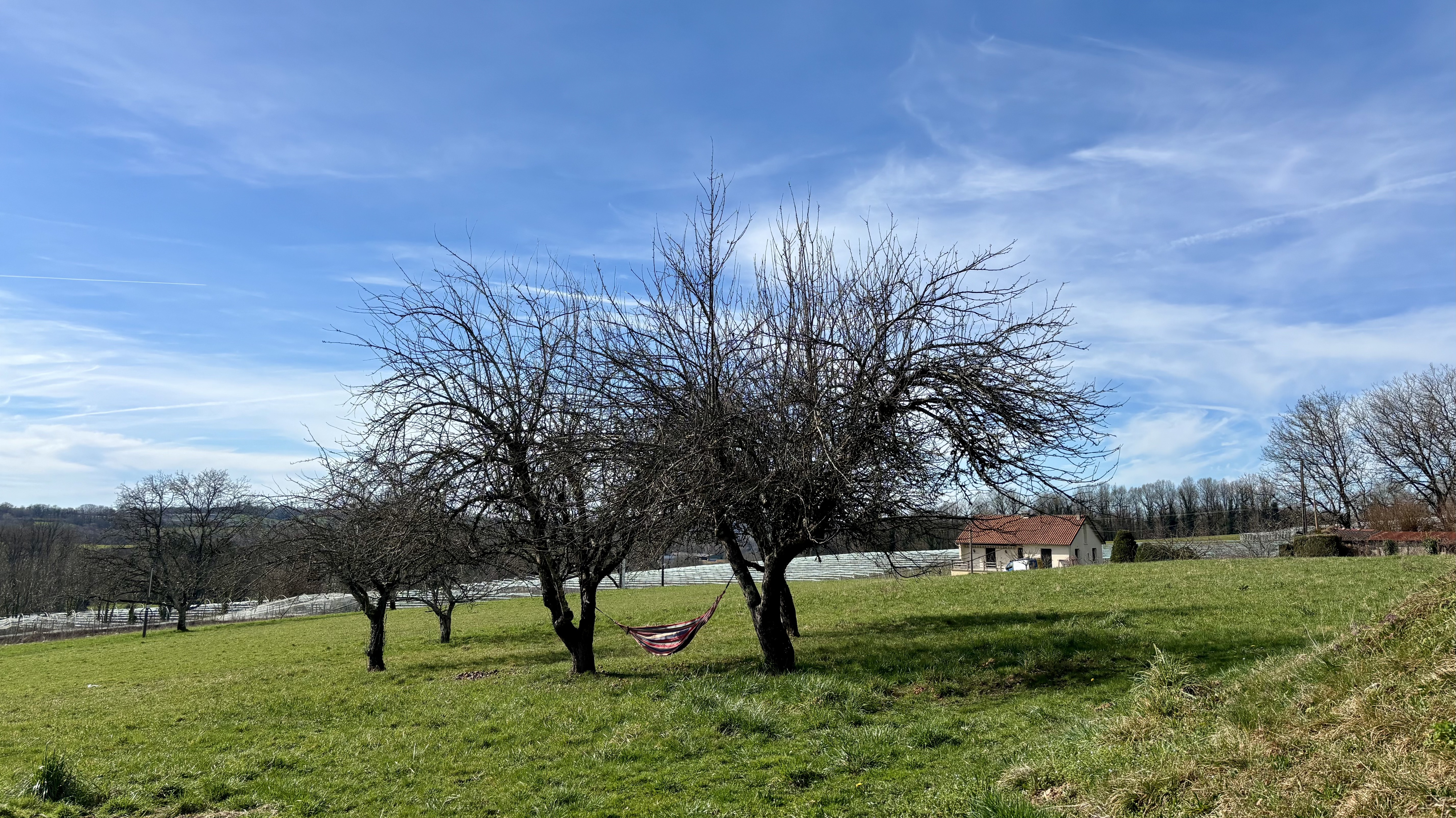 Achat immobilier Maison 3 pièces  60m2 à SAINT CYR LES CHAMPAGNES (24270) - Photo n°8