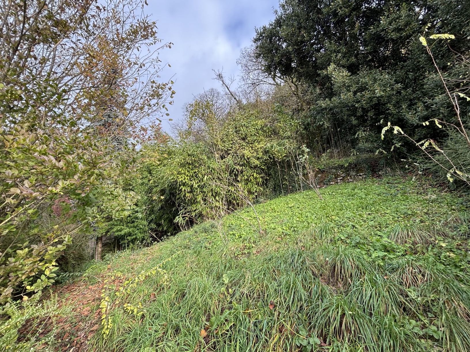 Achat immobilier Maison 4 pièces  87m2 à AYEN (19310) - Photo n°8