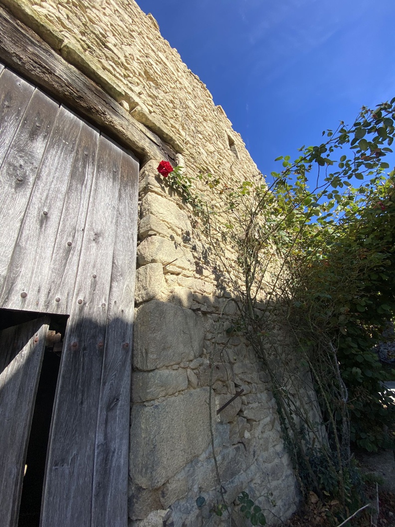 maison 3 pièces - 48m2 à Châteauponsac (87290)