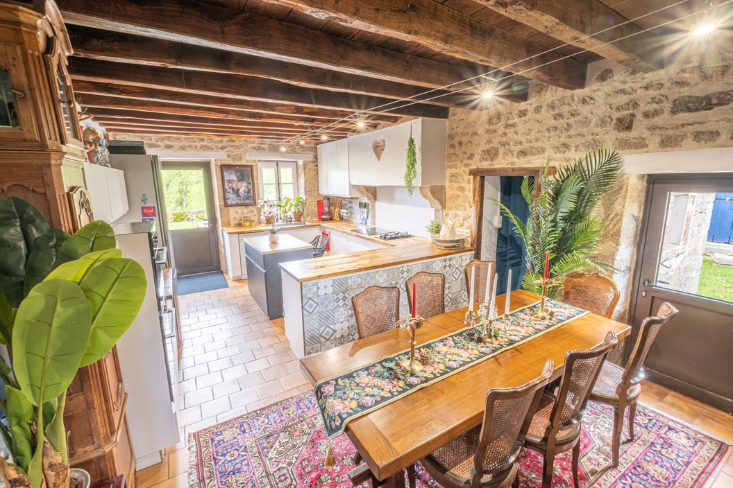 maison 8 pièces - 225m2 à Folles (87250)