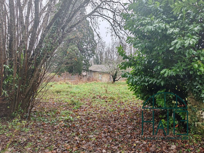 terrain  - 1682,0m2 à CHALUS (87230)