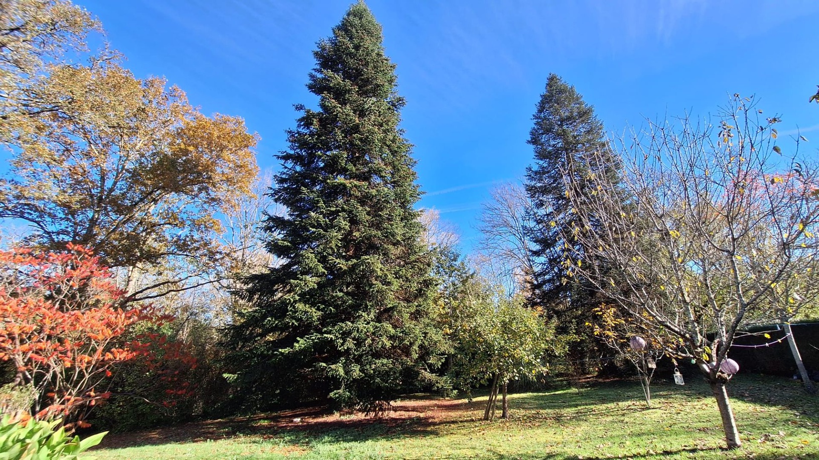 Achat immobilier Maison 6 pièces  135m2 à BUSSEROLLES (24360) - Photo n°11