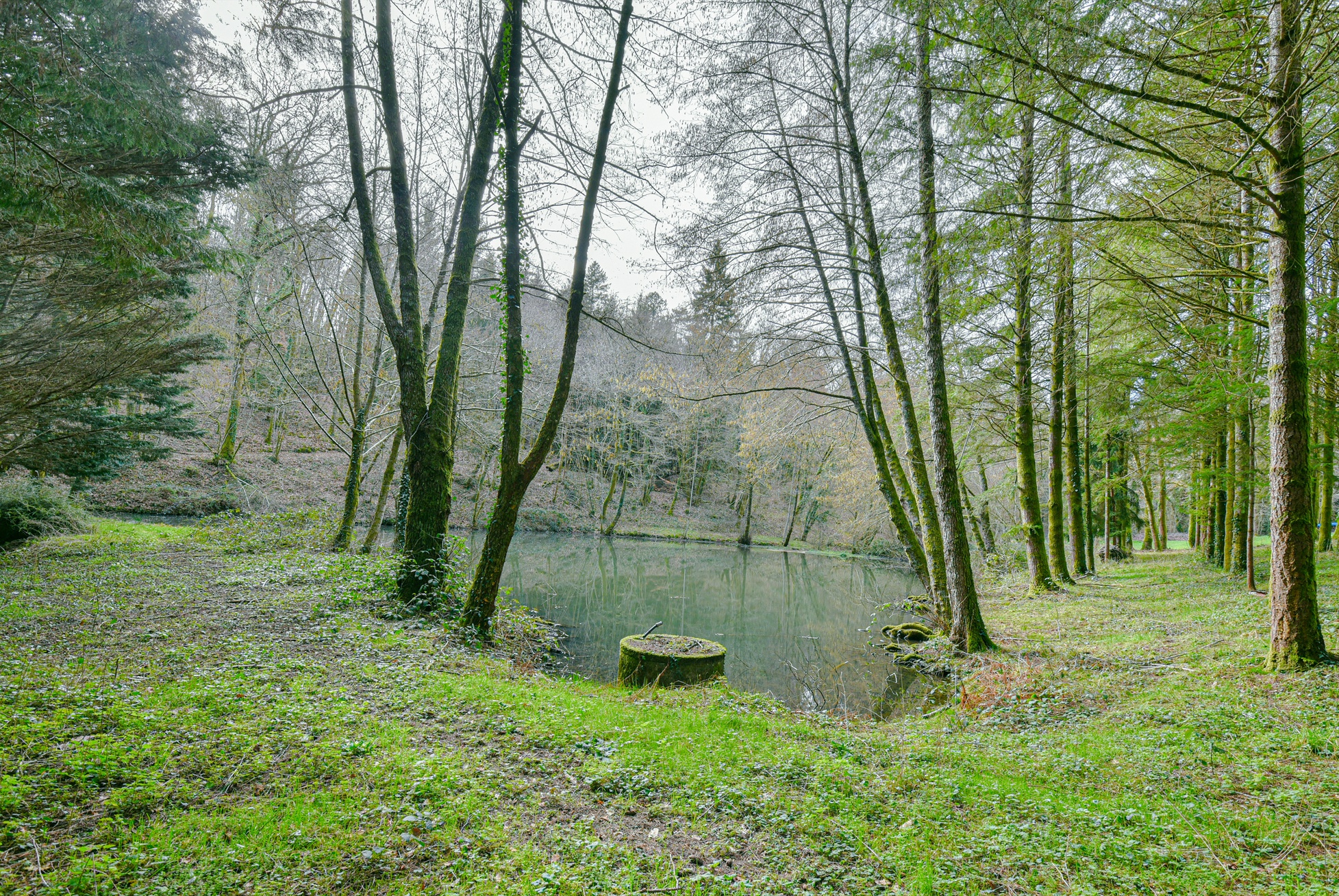 Achat immobilier Maison 10 pièces  253m2 à CHAMPNIERS ET REILHAC (24360) - Photo n°10