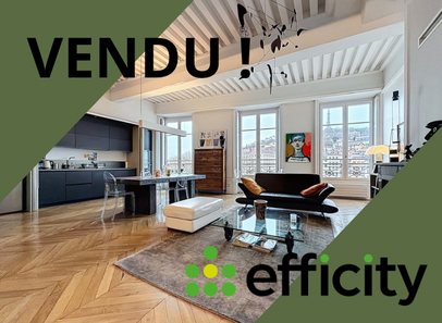 appartement 3 pièces - 106m2 à Lyon (69001)