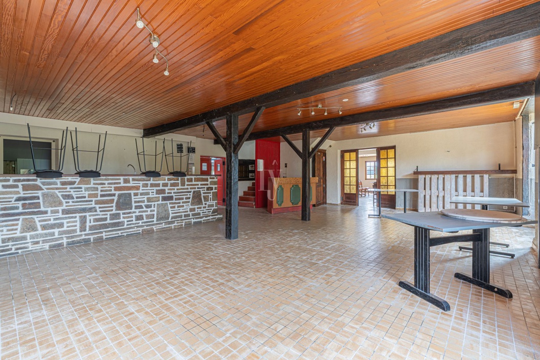 maison 9 pièces - 360,0m2 à SAINT GERMAIN LES BELLES (87380)