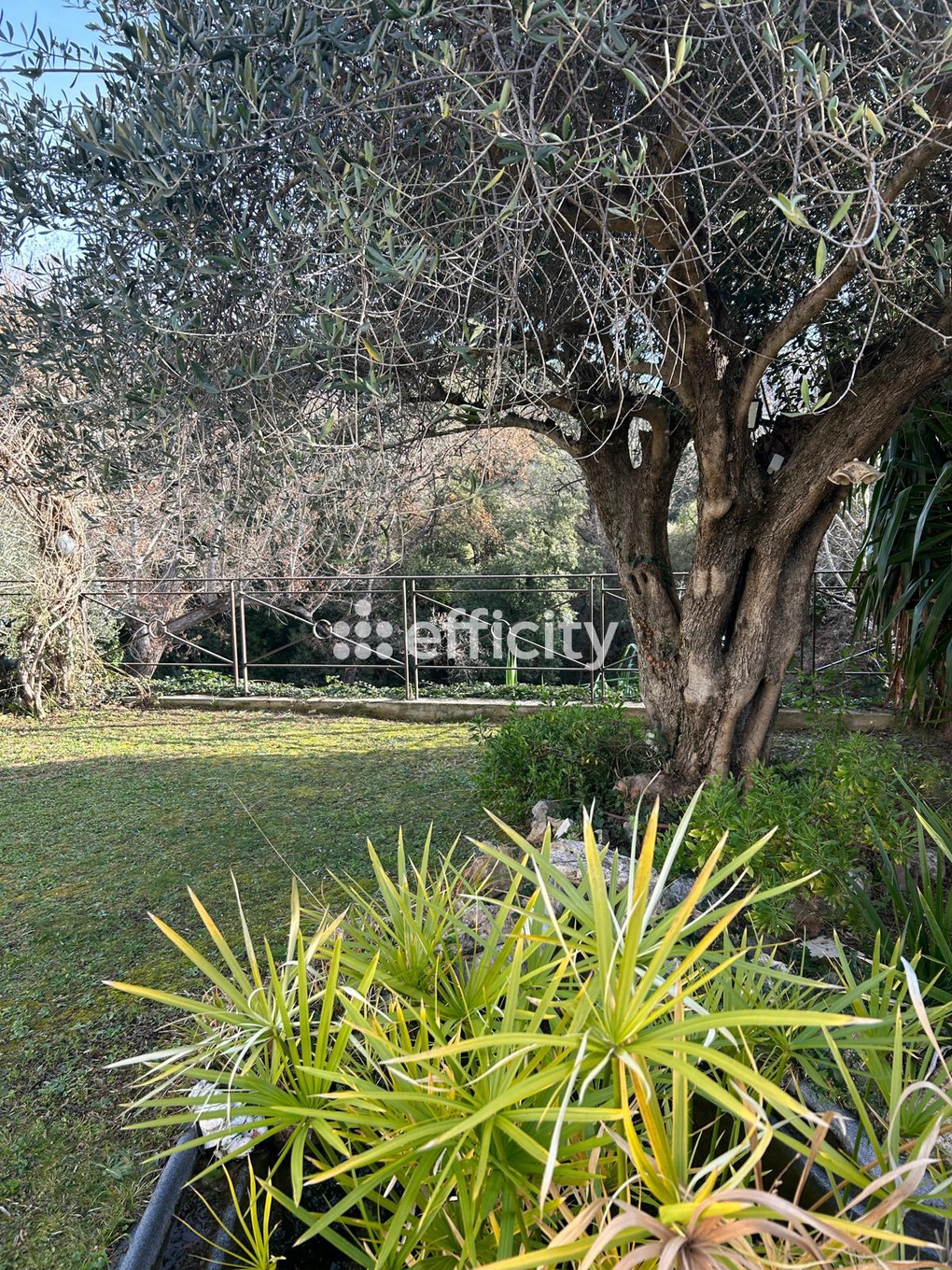 Achat immobilier Maison 4 pièces  135m2 à Saint-Martin-du-Var (06670) - Photo n°7