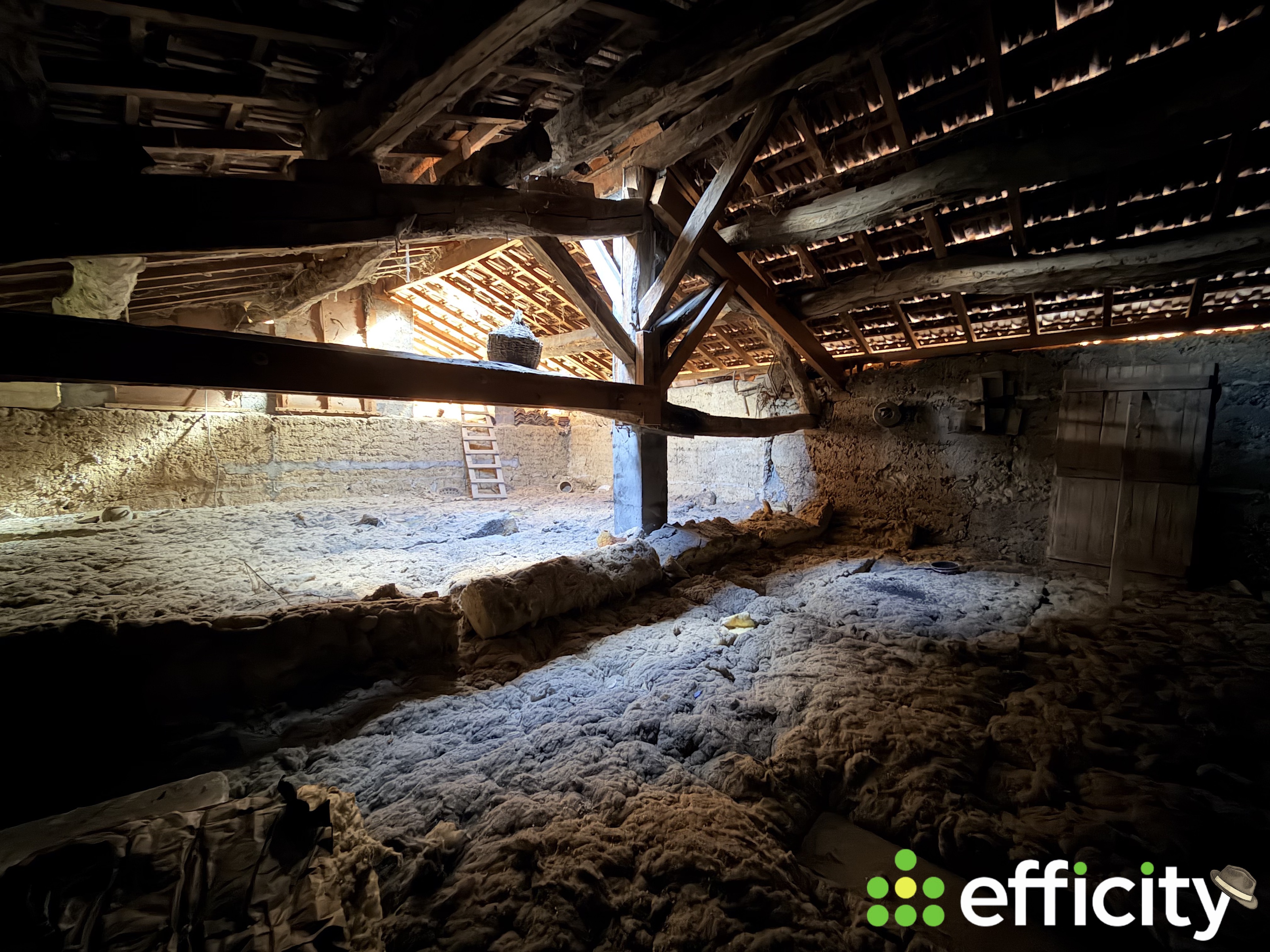 Achat immobilier Maison 6 pièces  123m2 à Brézins (38590) - Photo n°14