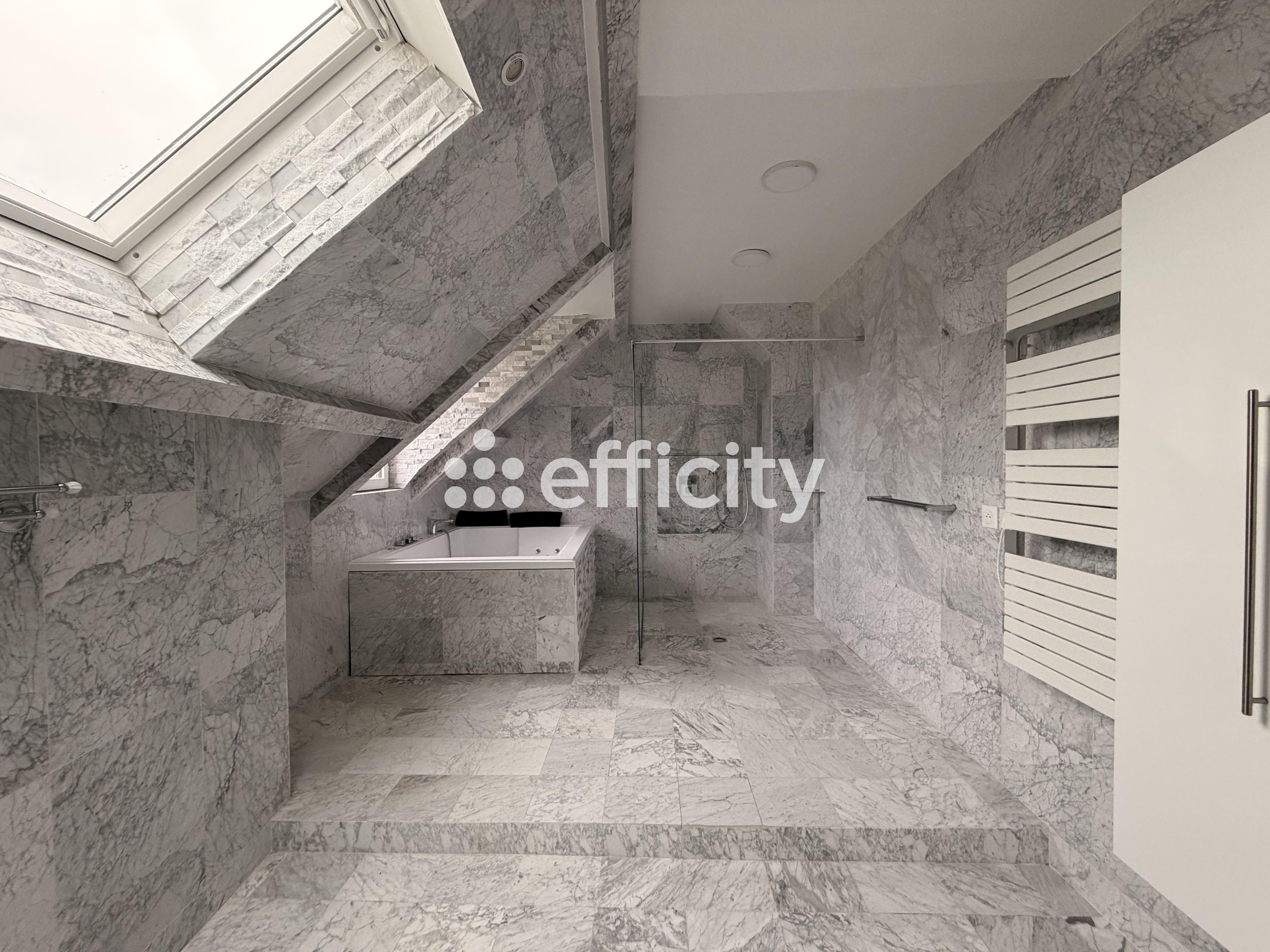 Achat immobilier Maison 7 pièces  250m2 à Buchelay (78200) - Photo n°8