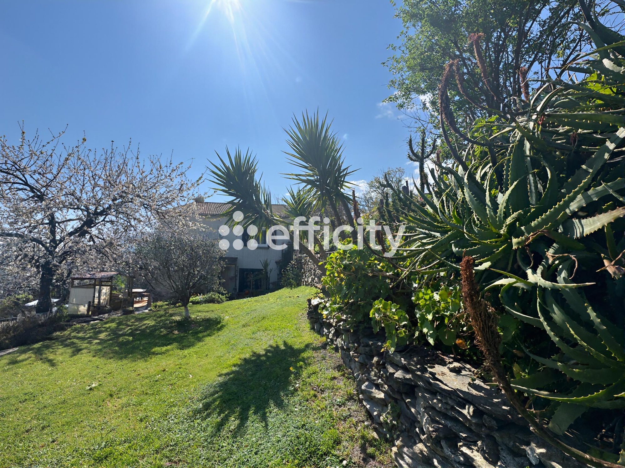 Achat immobilier Maison 6 pièces  140m2 à Velone-Orneto (20230) - Photo n°5