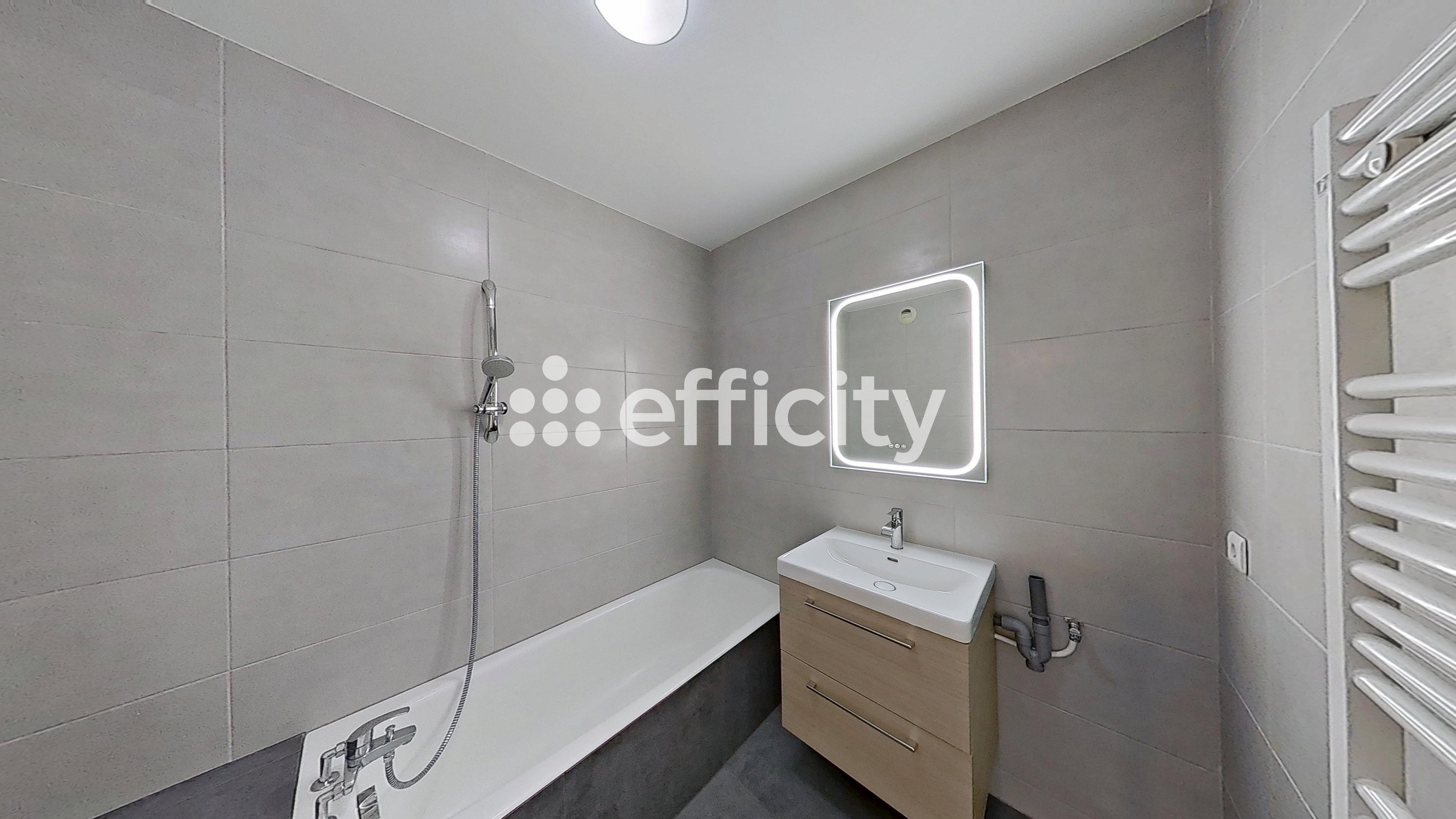 Achat immobilier Appartement 3 pièces  80m2 à La Roche-sur-Foron (74800) - Photo n°9